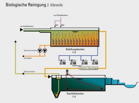 Biologische Reinigung Biologische Reinigung